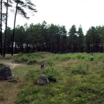 Cromlechs (stone circles) in Odry