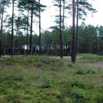 Cromlechs (stone circles) in Odry