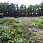 Cromlechs (stone circles) in Odry