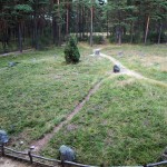 Cromlechs (stone circles) in Odry