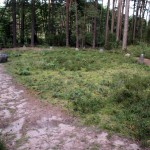 Cromlechs (stone circles) in Odry