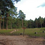 Cromlechs (stone circles) in Odry